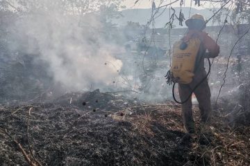 Chiapas, el tercer estado a nivel nacional con mayores afectaciones por incendios