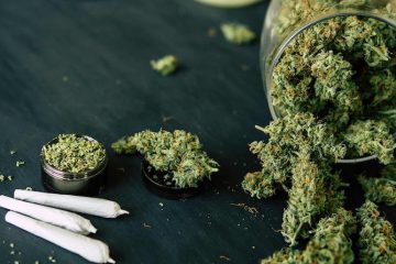 Corte anula prohibición del uso lúdico de la marihuana