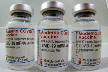 EMA evalúa posible uso de vacuna Moderna anticovid en niños de 6 a 11 años
