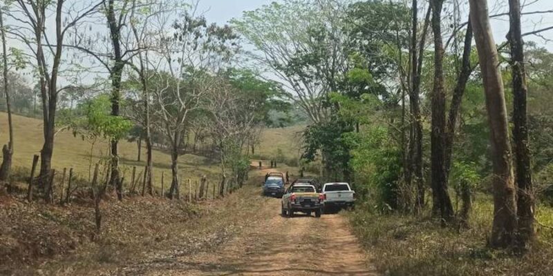 Encapuchados invaden tierras en la zona poniente de San Cristóbal