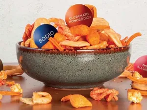 Botanas fritas y señalamiento de sodio como referencia de etiquetado nutrimental