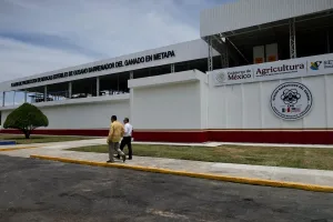 Ganado relacionado con la alerta sanitaria por gusano barrenador en México