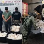 Carretes industriales donde autoridades localizaron metanfetamina en Sonora