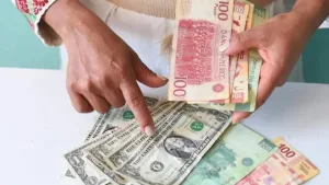 Billetes de pesos y dolares para ilustrar remesas en Chiapas