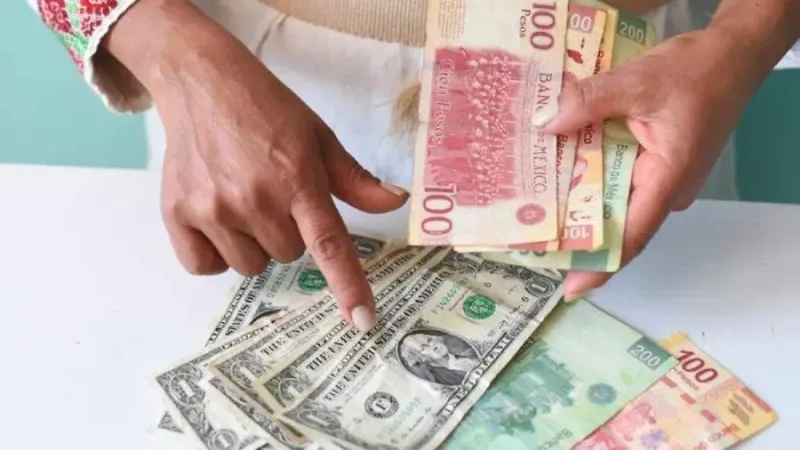 Billetes de pesos y dolares para ilustrar remesas en Chiapas