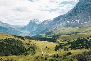 Banderas en un encuentro internacional