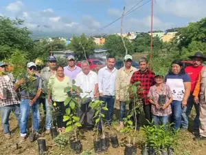 Siembra de árboles en el parque de la localidad Los Chiapas, Chiapa de Corzo